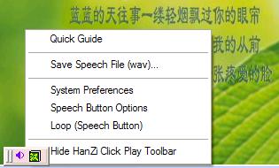 How to use Chinese Software